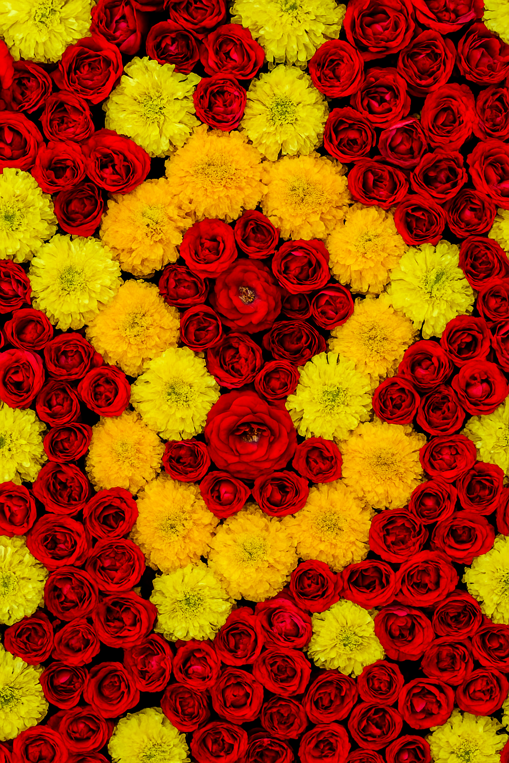 Fresh Flowers & more